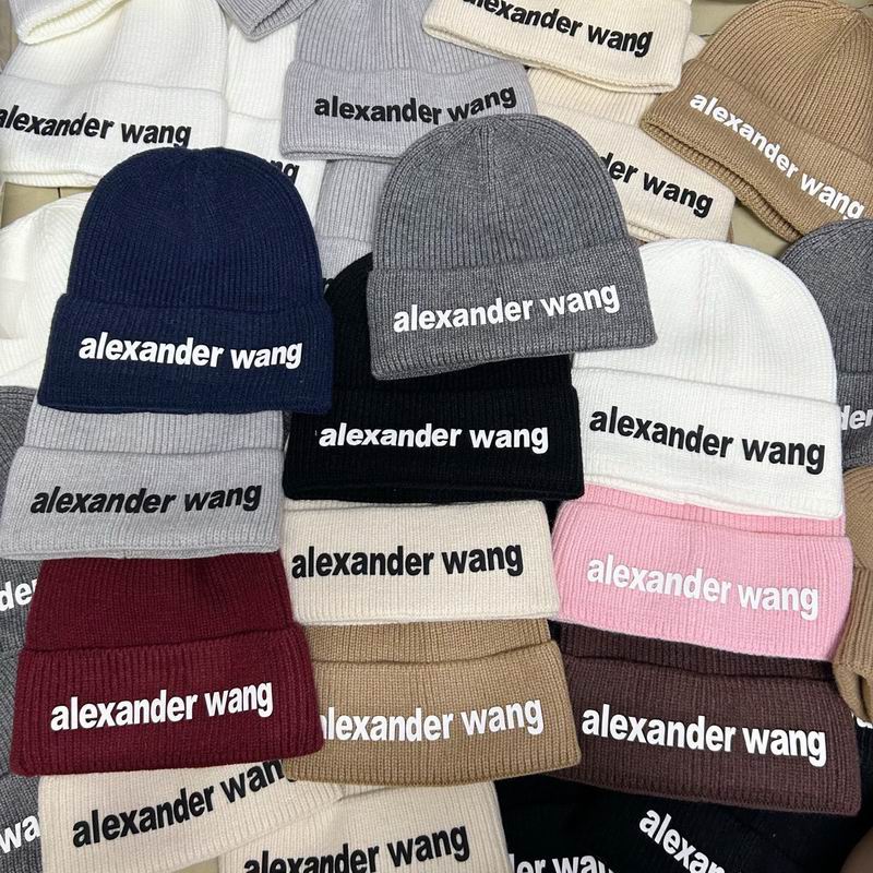 25 Alexander Wang Hat 1124
